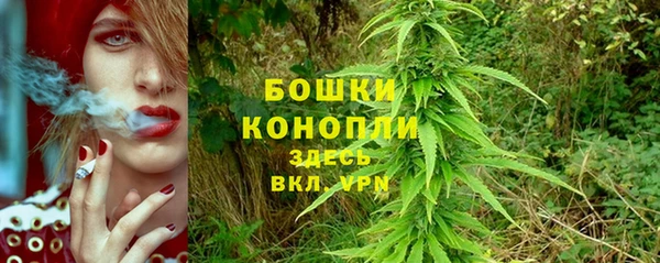 бошки Надым