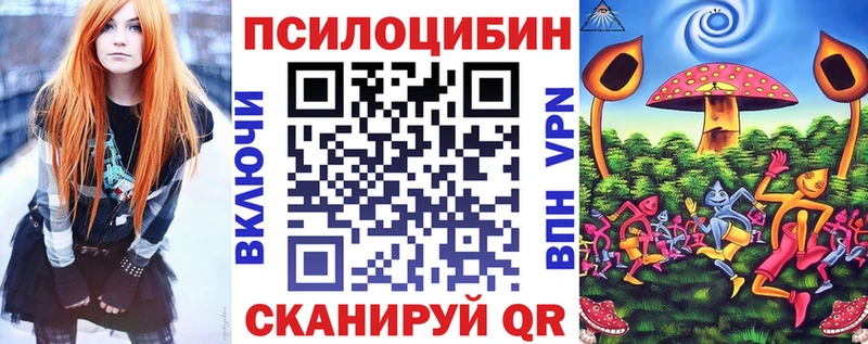 Купить где  Заинск  Псилоцибиновые грибы ЛСД 